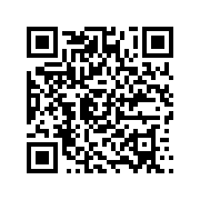 9.1九幺1.0.27版本