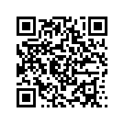 口袋双子换装最新版