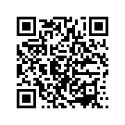 小小盗贼中文版