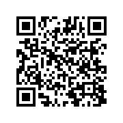 刀锋酷跑中文版