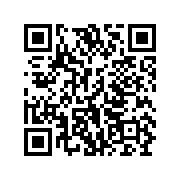 生存小队国际服